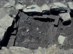 Top exposure of hearth, Feature 280, looking west.