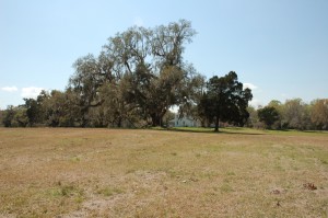 View of Area 3 View of Area 3, the slave village, looking southwest toward the Middleburg Plantation house. Photography taken in March 2007.