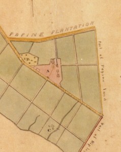 Excerpt of 1779 survey map of Mona Estate showing the location of the Mona Great House (C), Slave Village (B), and Sugar Works (A). Note the main house and two flanking dependencies. National Library of Jamaica.