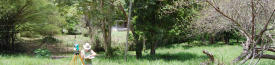 Background Header