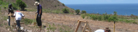 Background Header