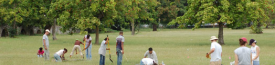 Background Header