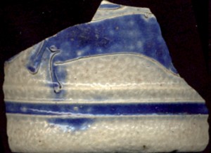 Animal, unidentifiable