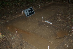 House Area A: A posthole and hardened surface.