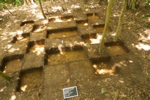 House Area D: This house was targeted by geophysical survey, which identified a rectangular anomaly.