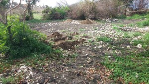 Excavation units at St. Nicholas Abbey's Worker's Village. Test unit 6 is in the background; Test unit 5 is in the foreground.