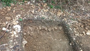 South wall of Test Unit 13 at St. Nicholas Abbey's Worker's Village.