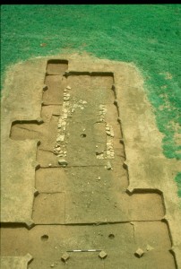 Overall shot facing south of Feature 101 and Feature 100 exposed prior to excavation.