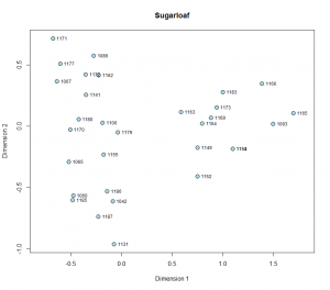 Figure 1. Plot of Dimension 1 by Dimension 2 scores for assemblages from Sugarloaf.