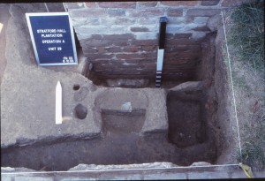 Unit 29, Builder's Trench (F41) and Posthole (F03)