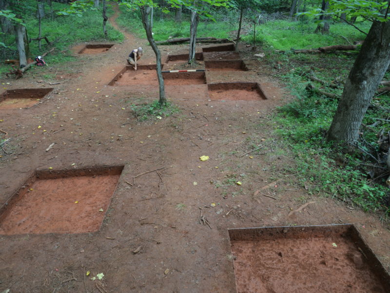Monticello Archaeology